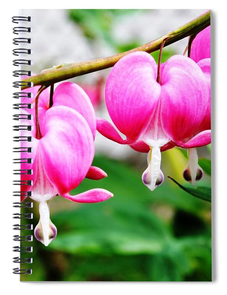 Flowers Spiral Notebook featuring the photograph Loving Hearts by Judy Palkimas