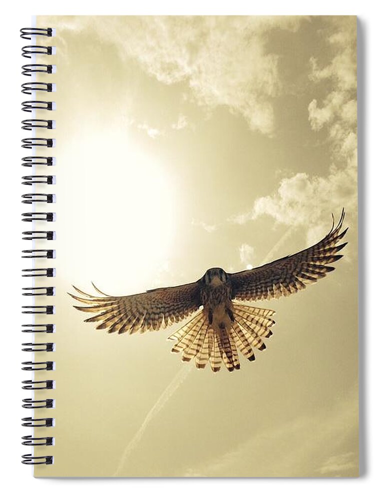 Animal Themes Spiral Notebook featuring the photograph Low Angle View Of Eagle Flying by David Hernandez / Eyeem