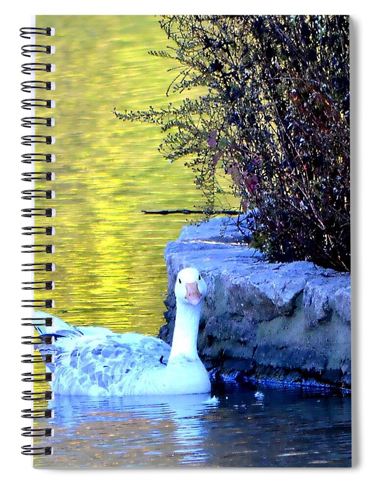 Goose Spiral Notebook featuring the photograph Lucy by Deena Stoddard