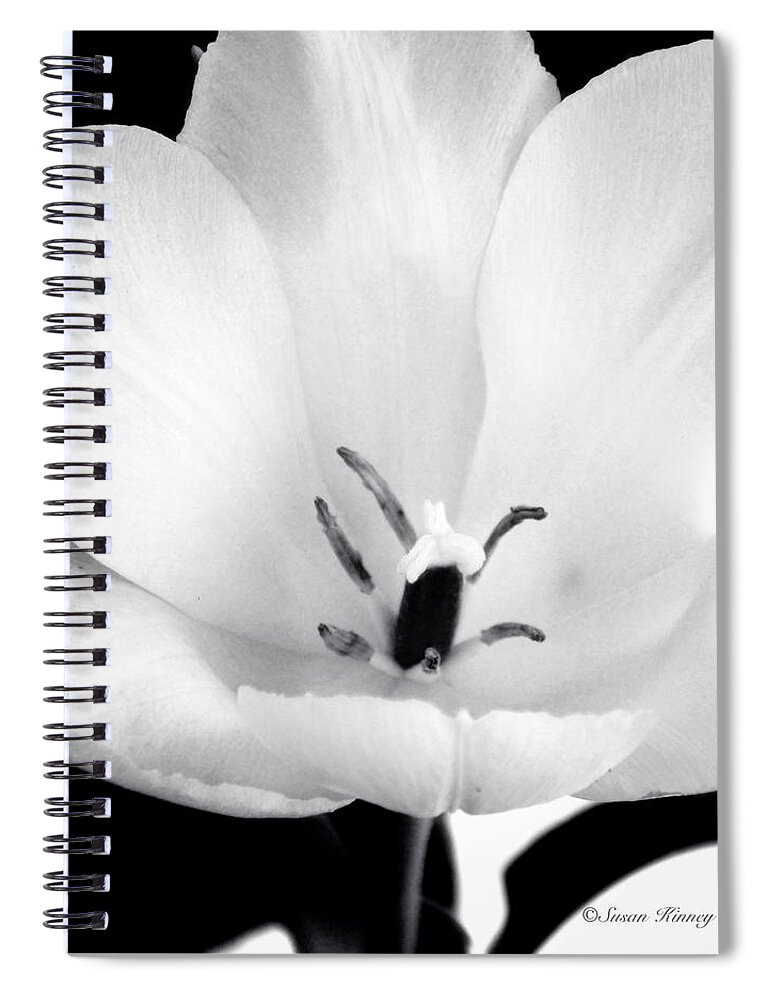 Flower Spiral Notebook featuring the photograph Luminance by Susan Kinney