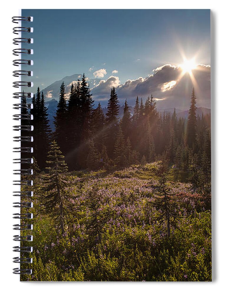 Mount Rainier Spiral Notebook featuring the photograph Lupine Field Sunstar by Mike Reid