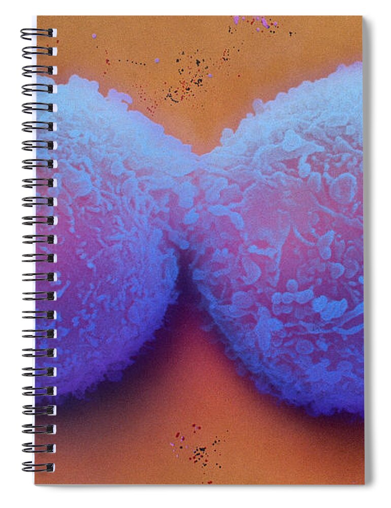 Science Spiral Notebook featuring the photograph Lymphocytes Sem by David M Phillips