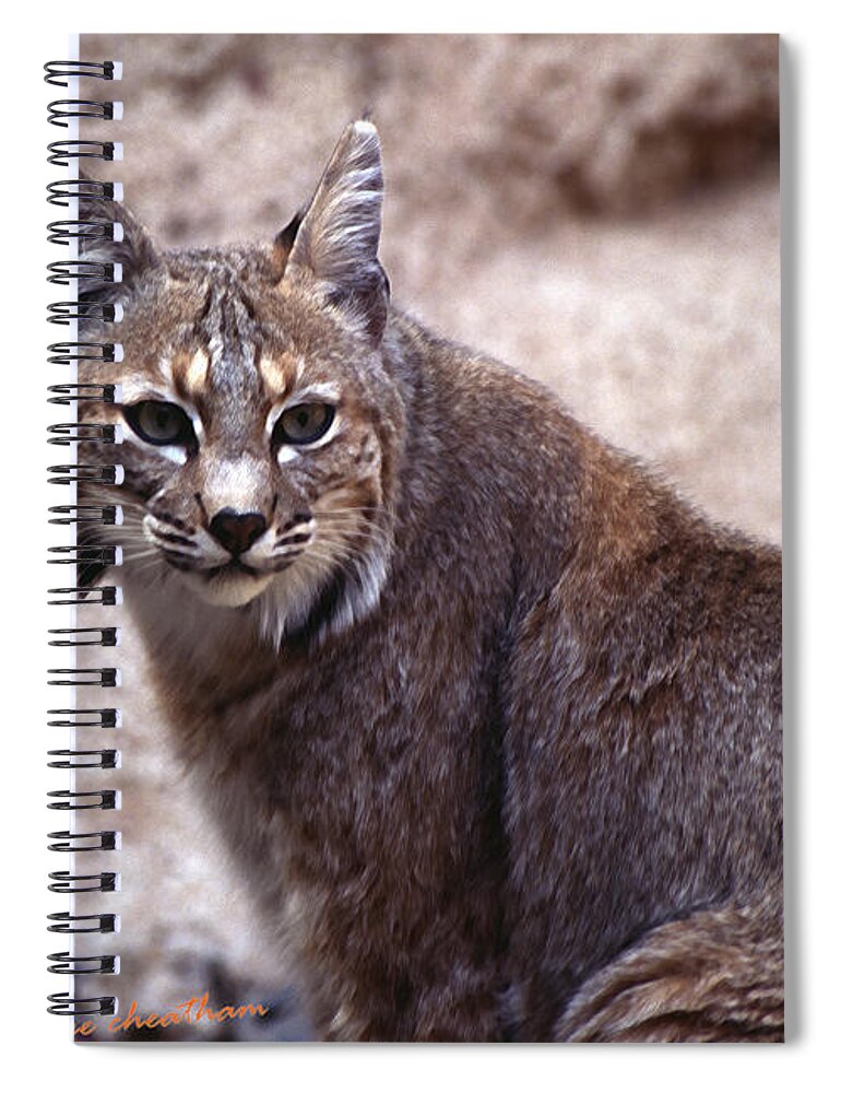 Nature Spiral Notebook featuring the photograph Lynx Portait 1 by Kae Cheatham