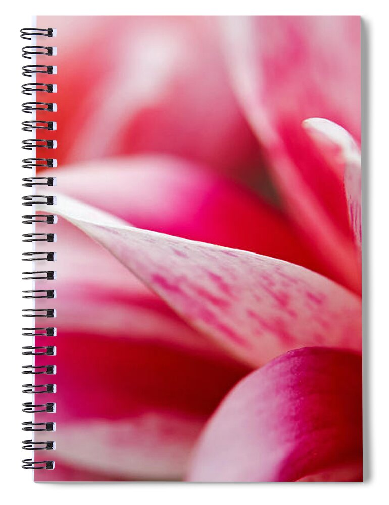 Pink Spiral Notebook featuring the photograph Macro image of a pink flower by Nick Biemans
