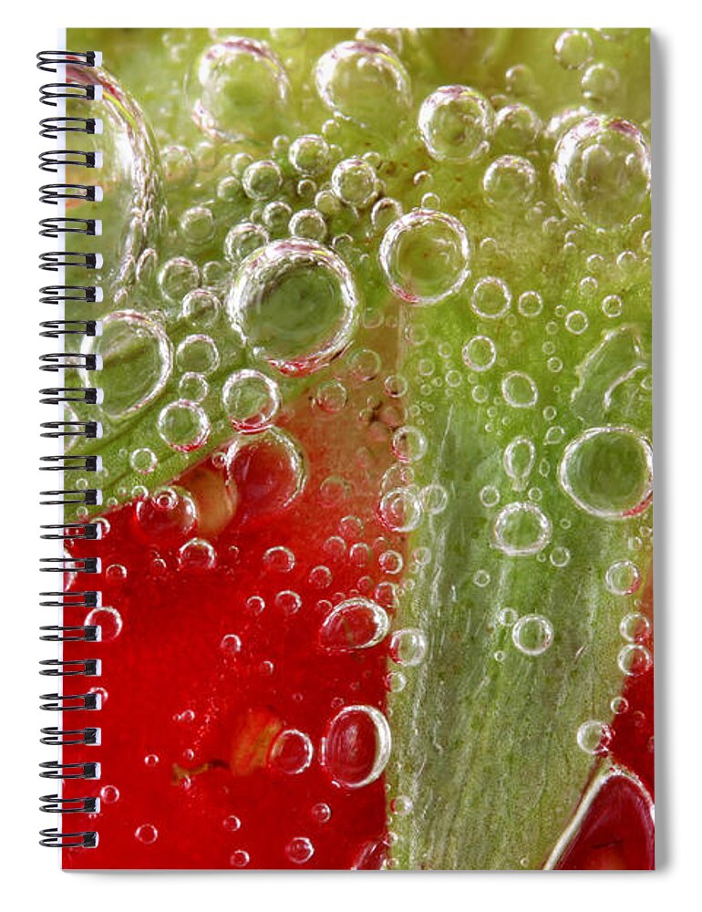 Strawberry Spiral Notebook featuring the photograph Macro of strawberry in water by Simon Bratt