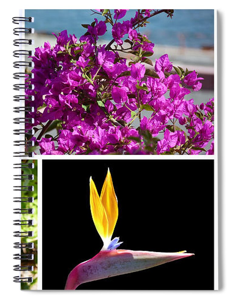 Madeira Spiral Notebook featuring the photograph Madeiran Flower Collage by Lynn Bolt
