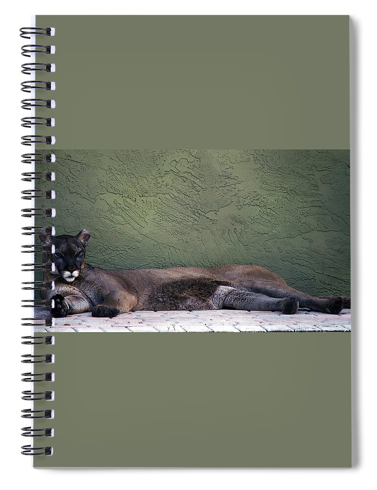 Cat Spiral Notebook featuring the photograph Magesty by Lily K