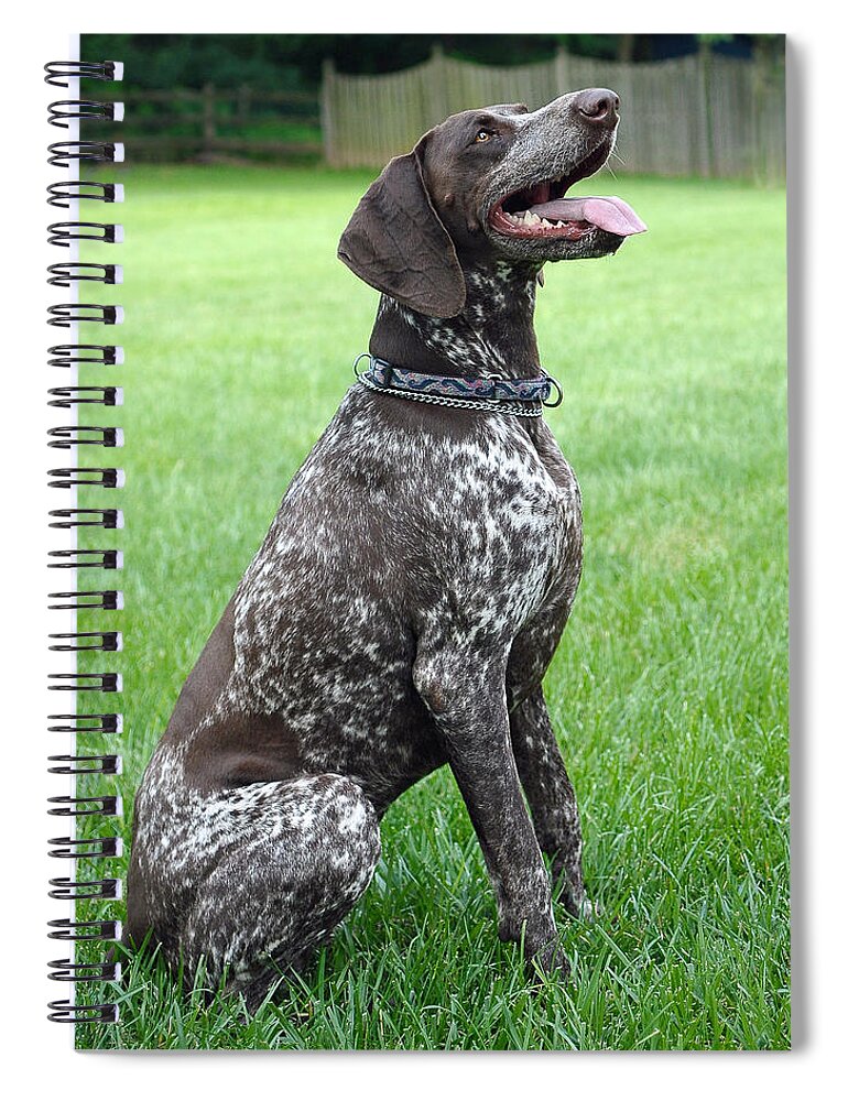 Animals Spiral Notebook featuring the photograph Maggie by Lisa Phillips