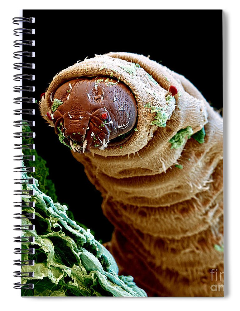 Maggot Spiral Notebook by Eye of Science - Fine Art America