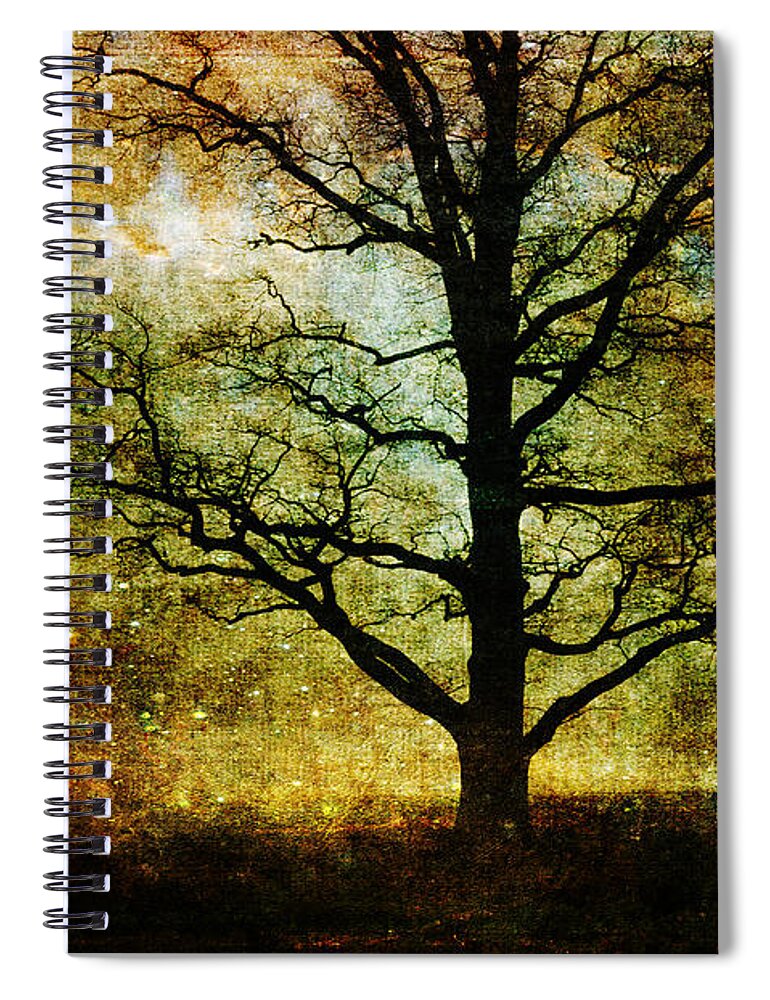 Textures Spiral Notebook featuring the photograph Magic Night by Randi Grace Nilsberg