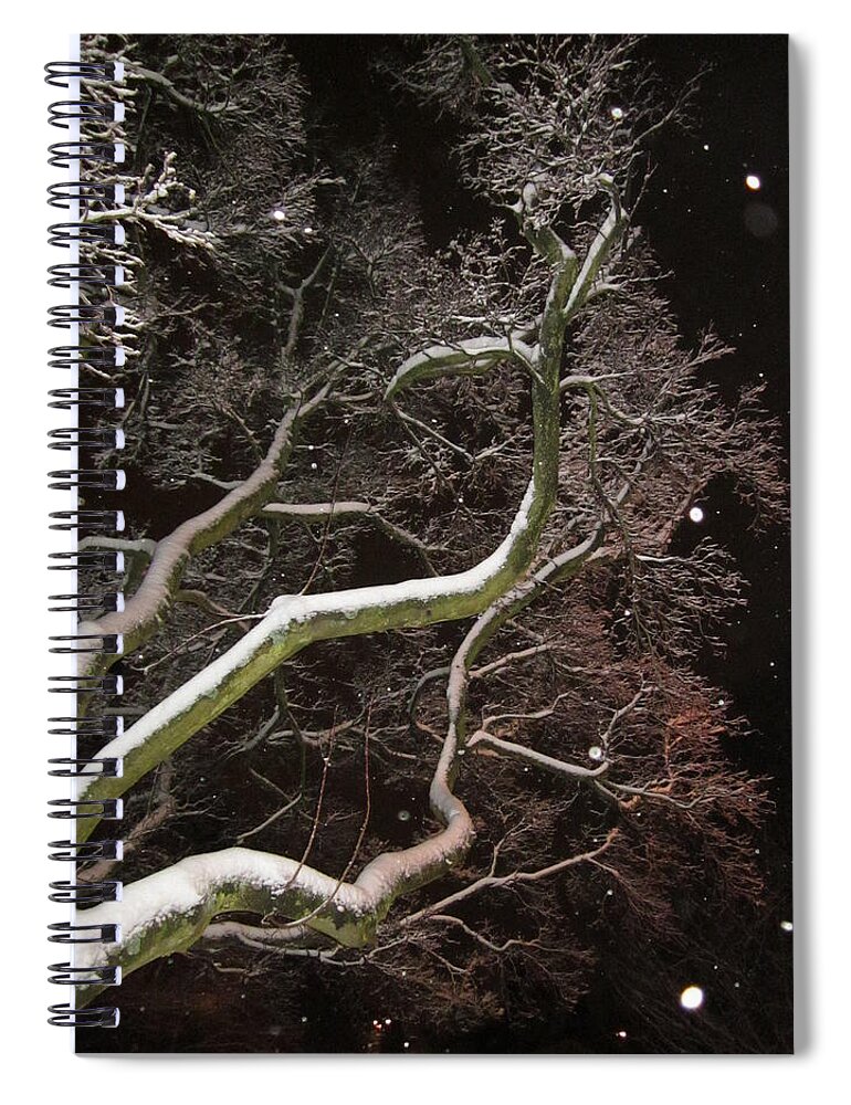 Tree Spiral Notebook featuring the photograph Magic tree by Rosita Larsson