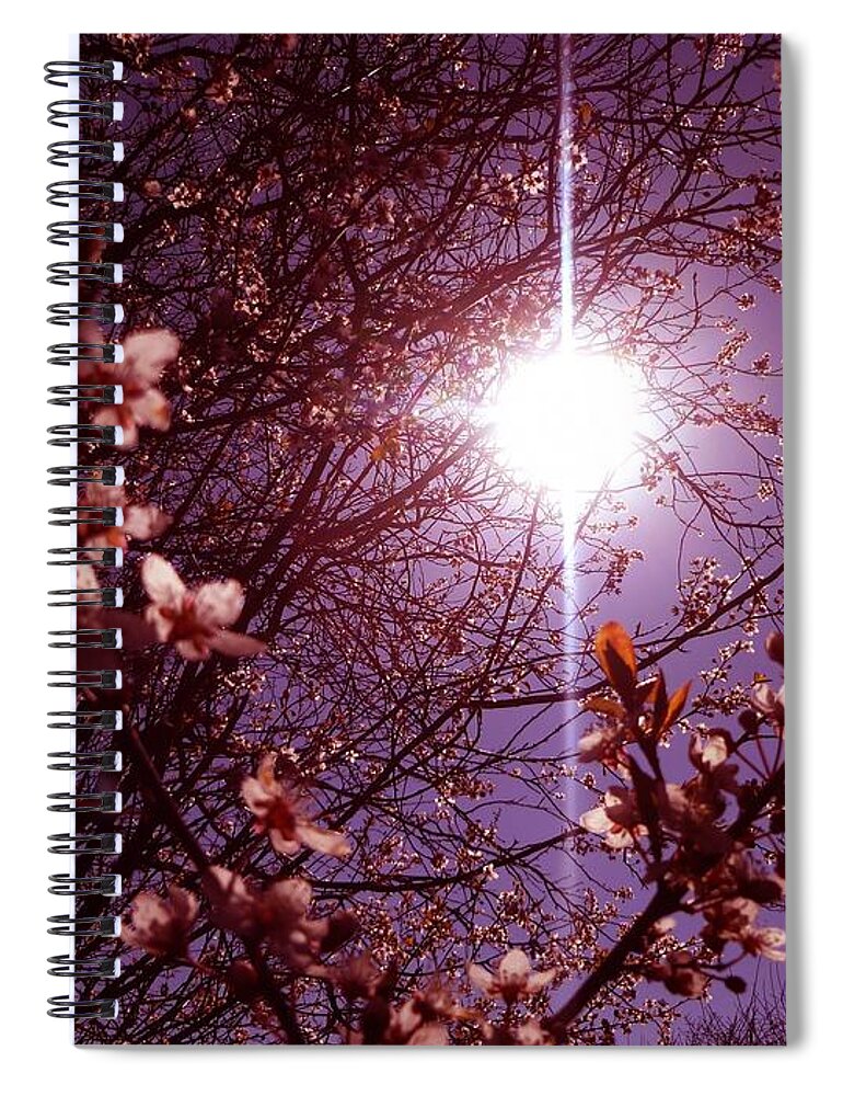 Blossom Spiral Notebook featuring the photograph Magical Blossoms by Vicki Spindler
