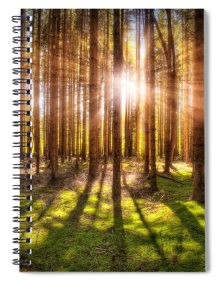 Magical Spiral Notebook featuring the photograph Magic Light by Edmund Nagele FRPS