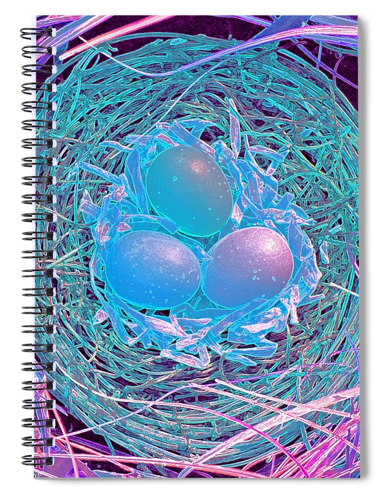 First Star Art Spiral Notebook featuring the photograph Magical Eggs by jrr by First Star Art