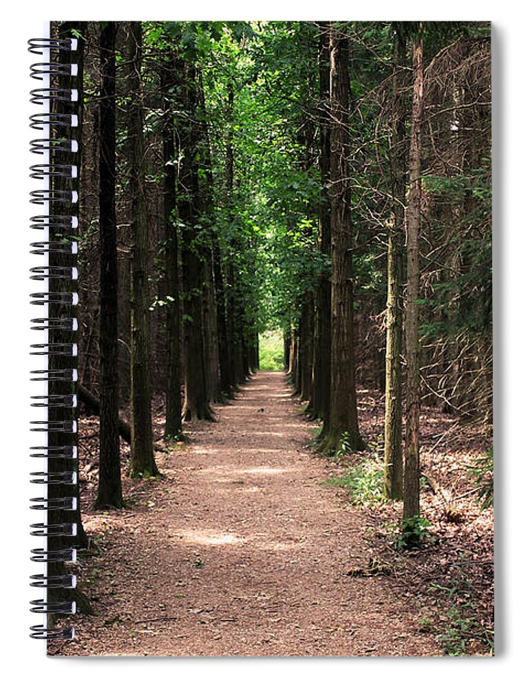 Trees Spiral Notebook featuring the photograph Magical Path by Bruce Patrick Smith