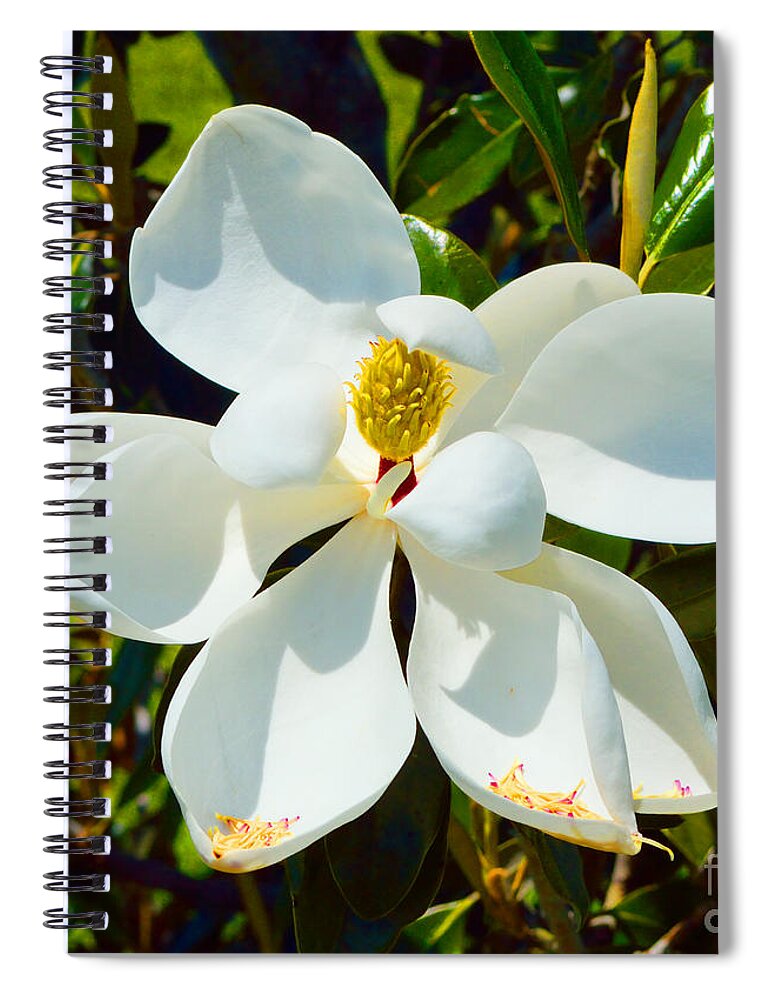 Magnolia Spiral Notebook featuring the photograph Magnolia Blossom by Alys Caviness-Gober
