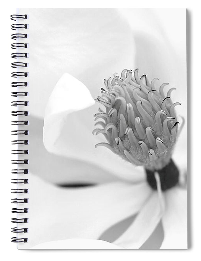 Spiral Notebook featuring the photograph Magnolia Flower Macro by Sabrina L Ryan