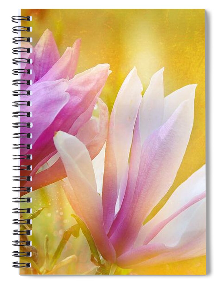 Flower Spiral Notebook featuring the photograph Magnolia Rain by Elaine Manley