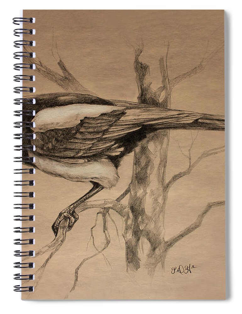 Magpie Spiral Notebook featuring the drawing Magpie sketch by Derrick Higgins