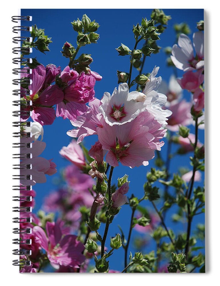 Flowers Spiral Notebook featuring the photograph Majestic in the Sky by Carol Eliassen