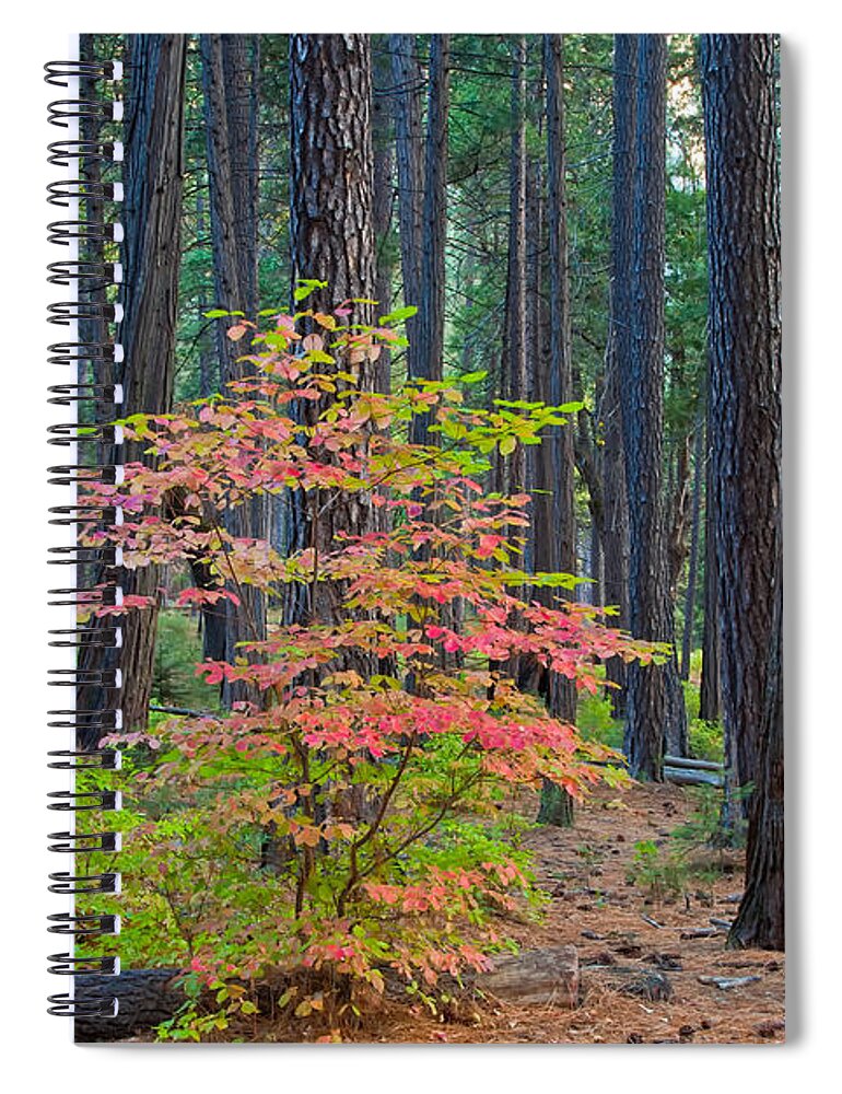 Landscape Spiral Notebook featuring the photograph Majestic by Jonathan Nguyen