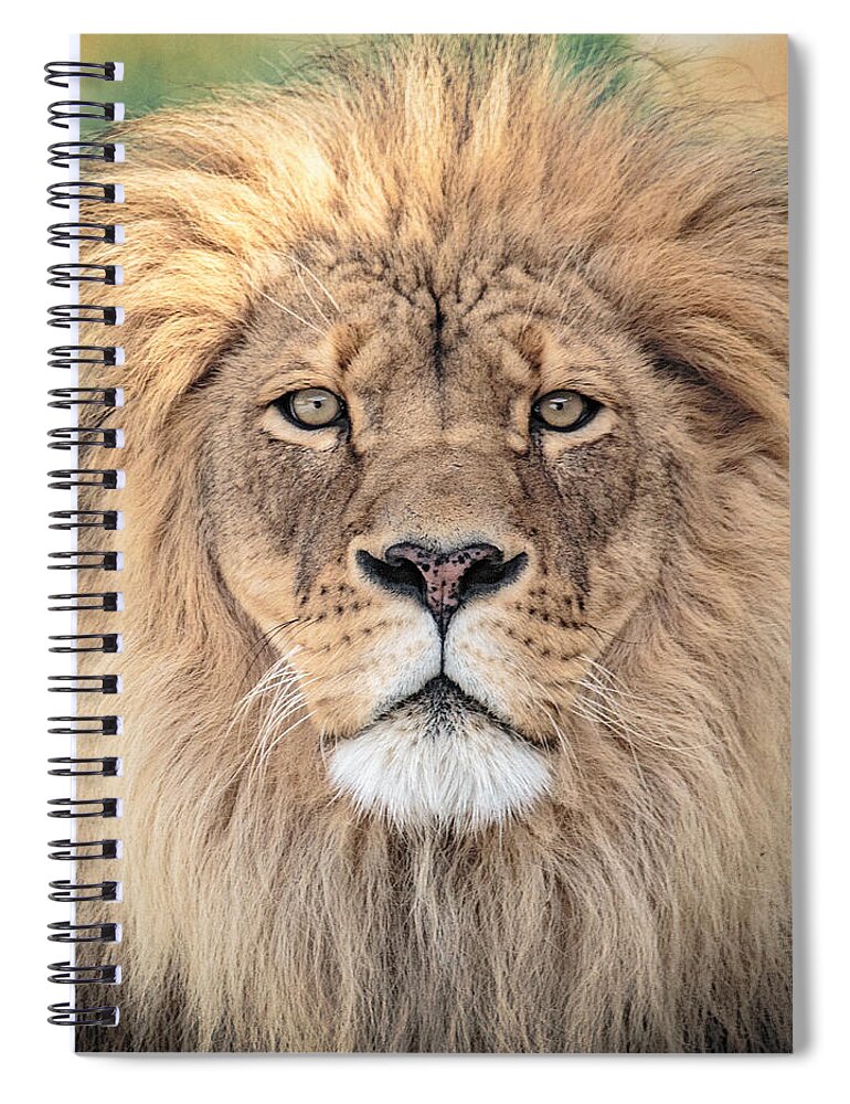 Lion Spiral Notebook featuring the photograph Majestic King by Everet Regal