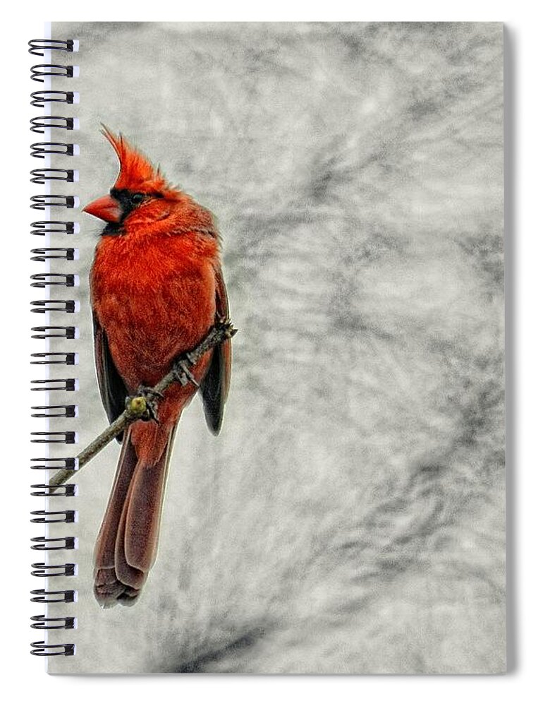 Red Spiral Notebook featuring the photograph Make A Wish by Sharon Woerner
