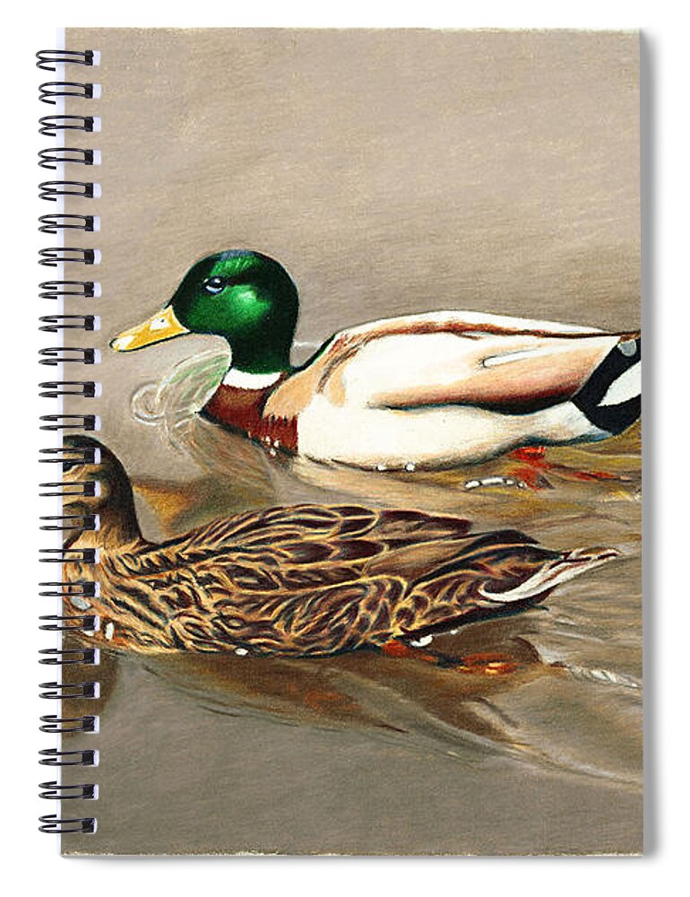 Ducks Spiral Notebook featuring the painting Mallards by Jill Ciccone Pike