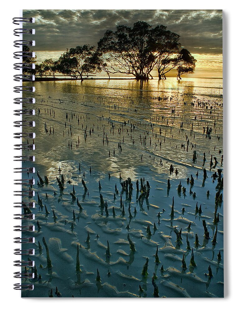 2010 Spiral Notebook featuring the photograph Mangroves by Robert Charity