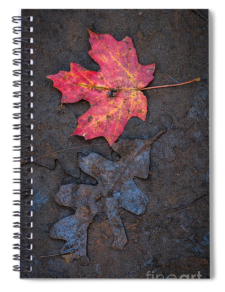 Maple Leaf Spiral Notebook featuring the photograph Maple and Oak Leaves by Tamara Becker
