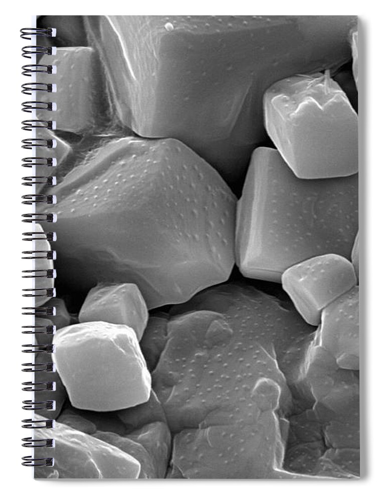 Microscope Spiral Notebook featuring the photograph Margarita Salt, Sem by Sheri Neva