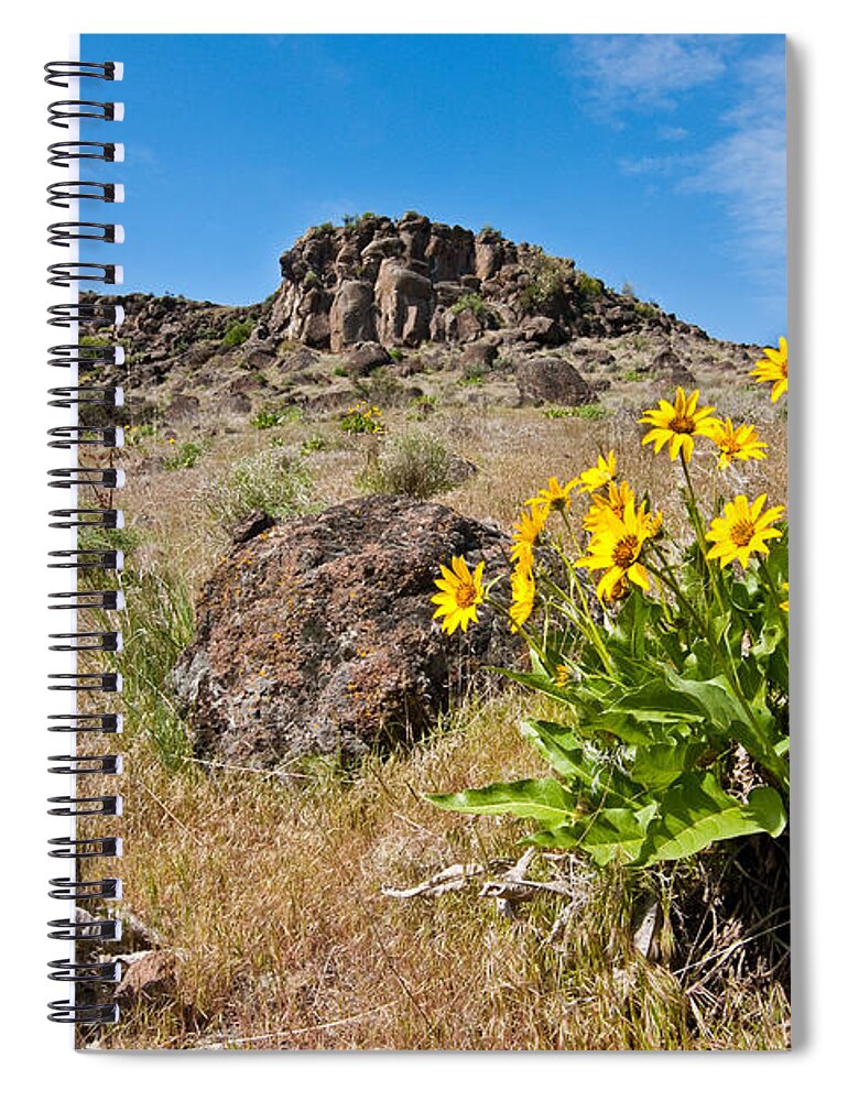 Arrowleaf Balsamroot Spiral Notebook featuring the photograph Meadow of Arrowleaf Balsamroot by Jeff Goulden
