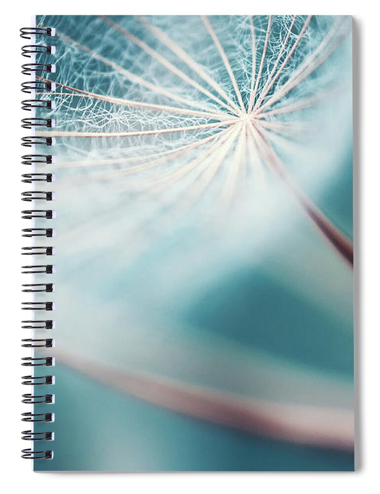 Outdoors Spiral Notebook featuring the photograph Meadow Salsify Abstract Dreamlike by M3ss