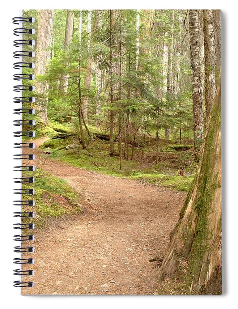 Cheakamus Rainforest Spiral Notebook featuring the photograph Meandering Along Cheakamus Lake by Adam Jewell