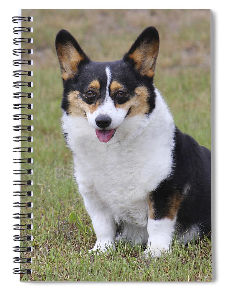 Dog Spiral Notebook featuring the photograph Meet Trixie by Mike McGlothlen
