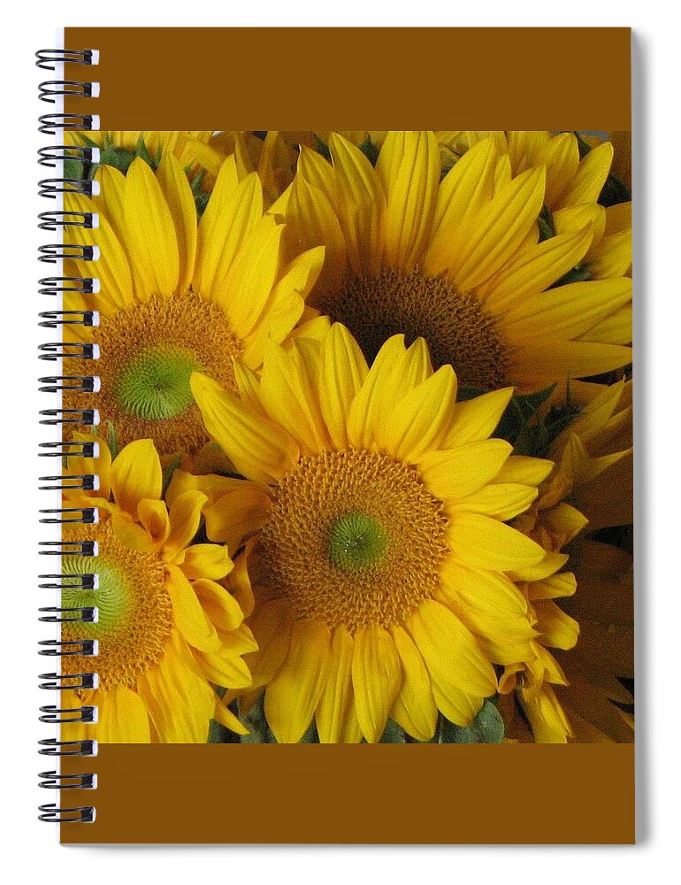 Sunflowers Spiral Notebook featuring the photograph Mellow Yellow by John Glass