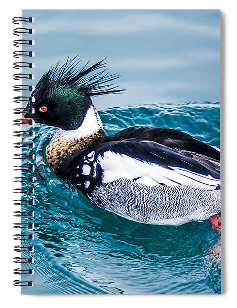 Animals Spiral Notebook featuring the photograph Merganser Duck by LeeAnn McLaneGoetz McLaneGoetzStudioLLCcom