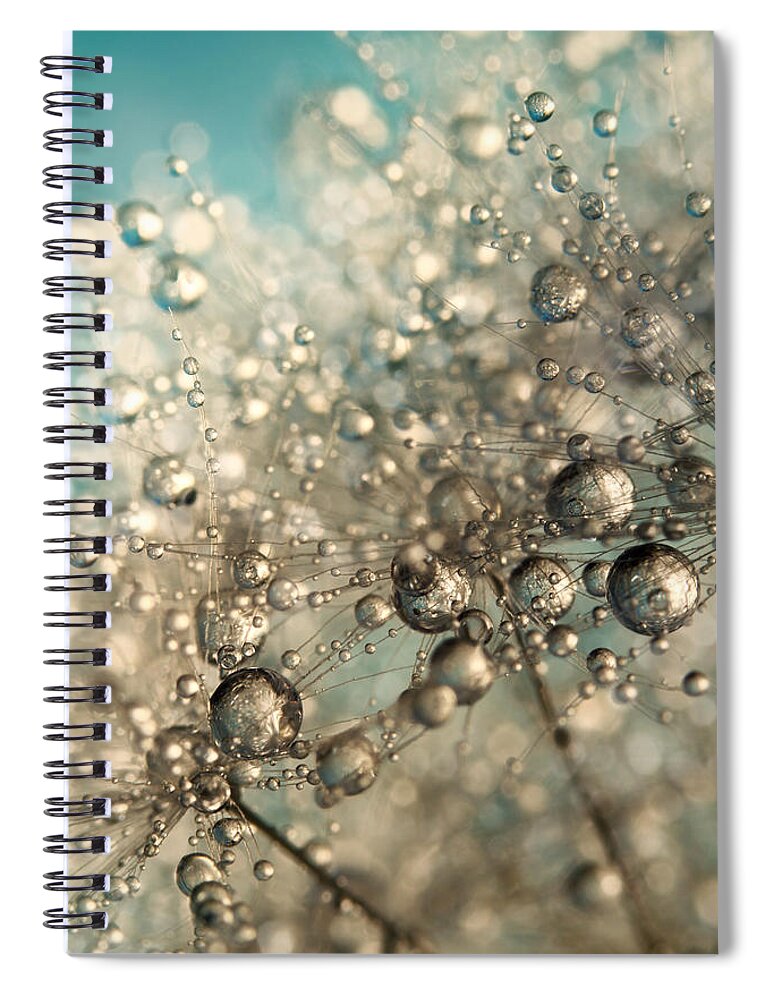 Dandelion Spiral Notebook featuring the photograph Metal Blue Dandy Sparkle by Sharon Johnstone