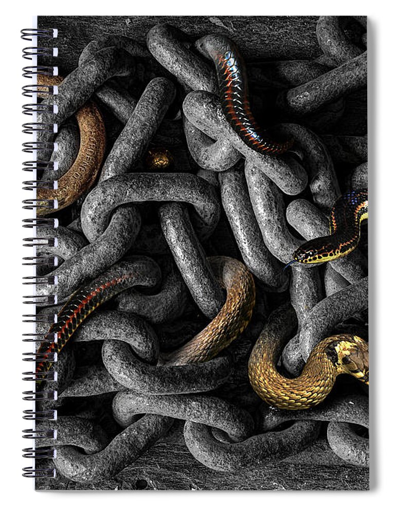 Metamorphosis Spiral Notebook featuring the photograph Metalmorphosisssss by Mal Bray