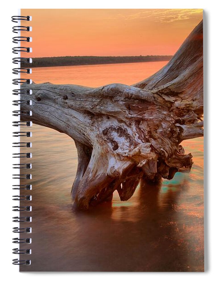 Meyers Beach Spiral Notebook featuring the photograph Meyers Beach Driftwood by Adam Jewell