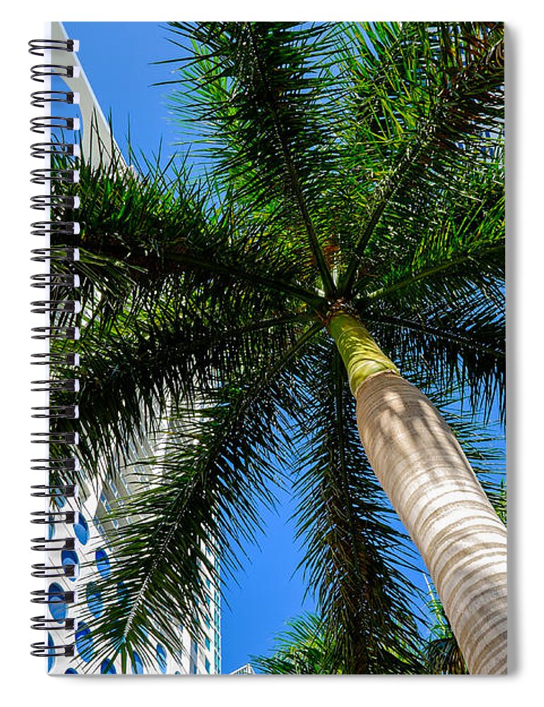 Architecture Spiral Notebook featuring the photograph Miami Palm by Raul Rodriguez