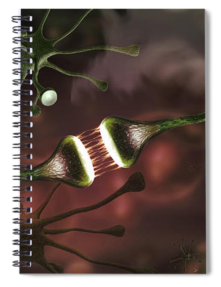 Photography Spiral Notebook featuring the photograph Microscopic Image Of Brain Neurons by Panoramic Images