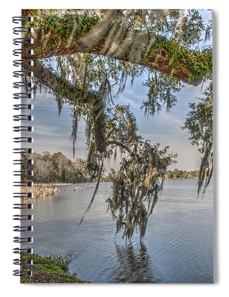 Live Oak Tree Spiral Notebook featuring the photograph Middleton Plantation Grounds by Dale Powell