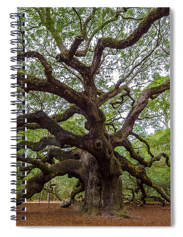 Angel Oak Tree Spiral Notebook featuring the photograph Mighty Oak by Dale Powell