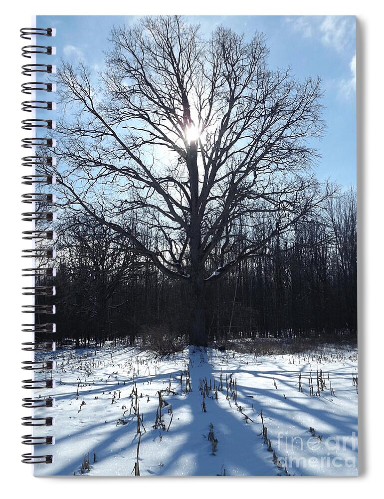 Nature Spiral Notebook featuring the photograph Mighty Winter Oak Tree by Erick Schmidt