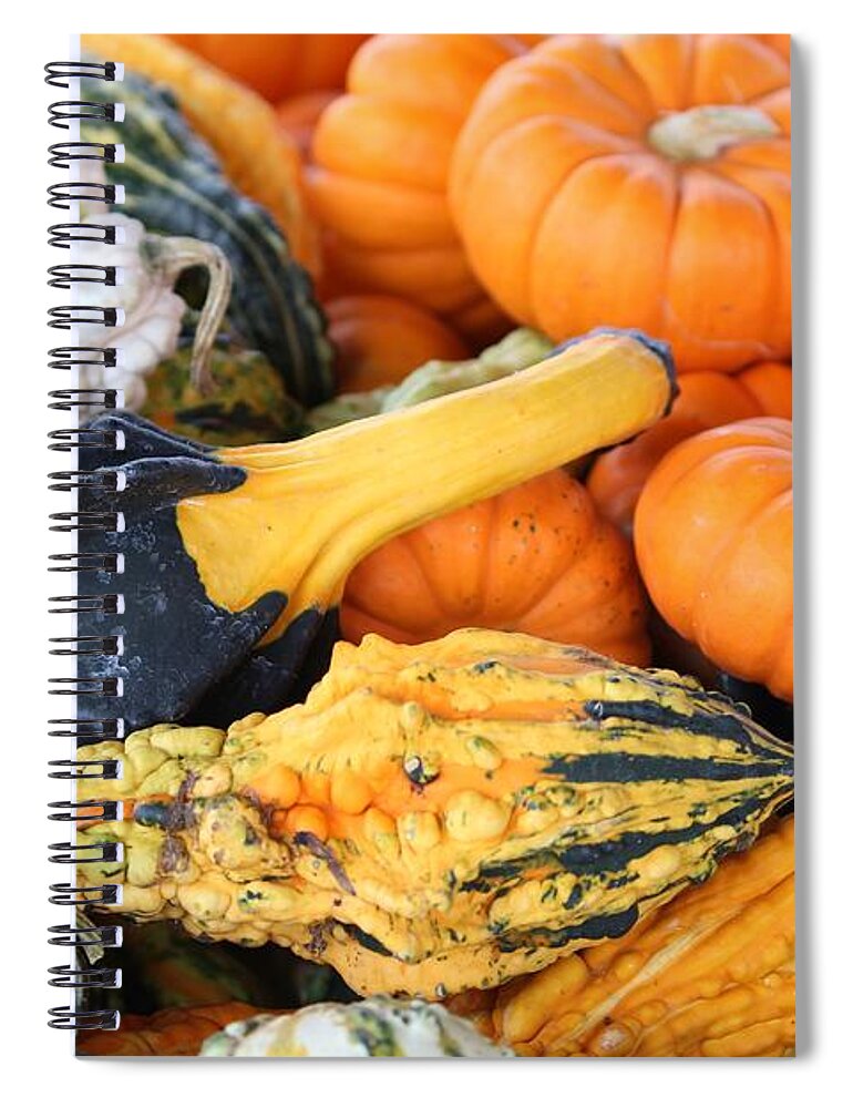 Mini Spiral Notebook featuring the photograph Mini Pumpkins And Gourds by Cynthia Guinn