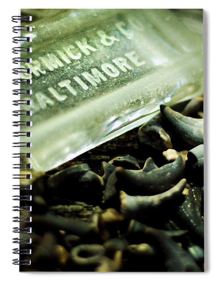 Fossil Spiral Notebook featuring the photograph Miocene and McCormick by Rebecca Sherman
