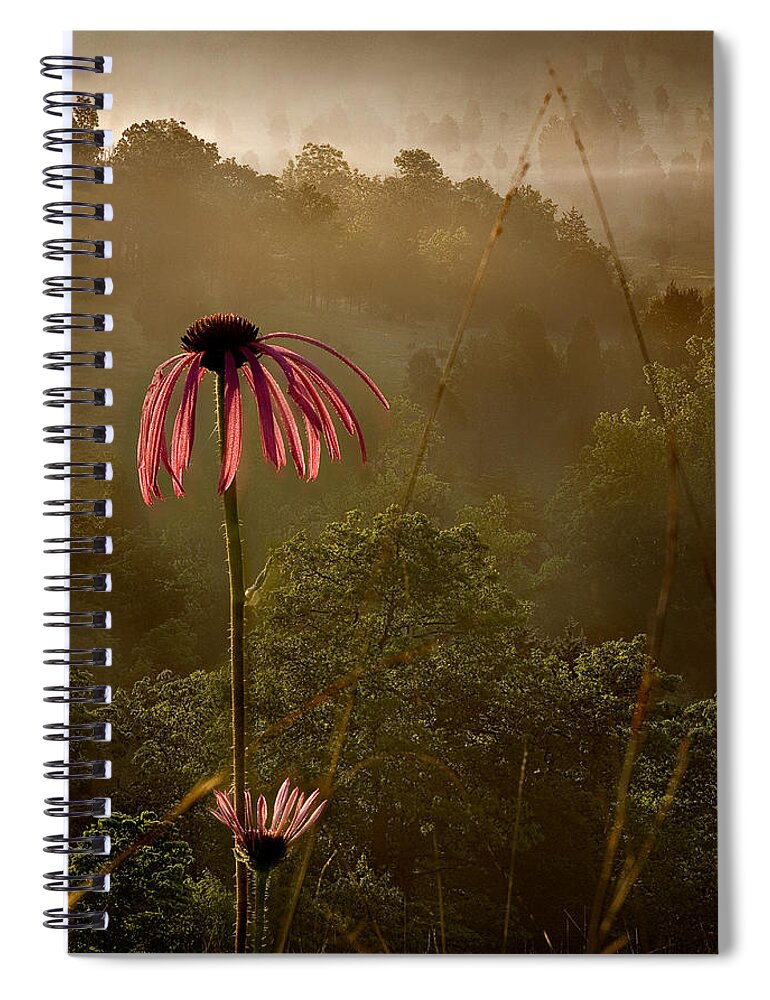 2010 Spiral Notebook featuring the photograph Mist on the Glade by Robert Charity