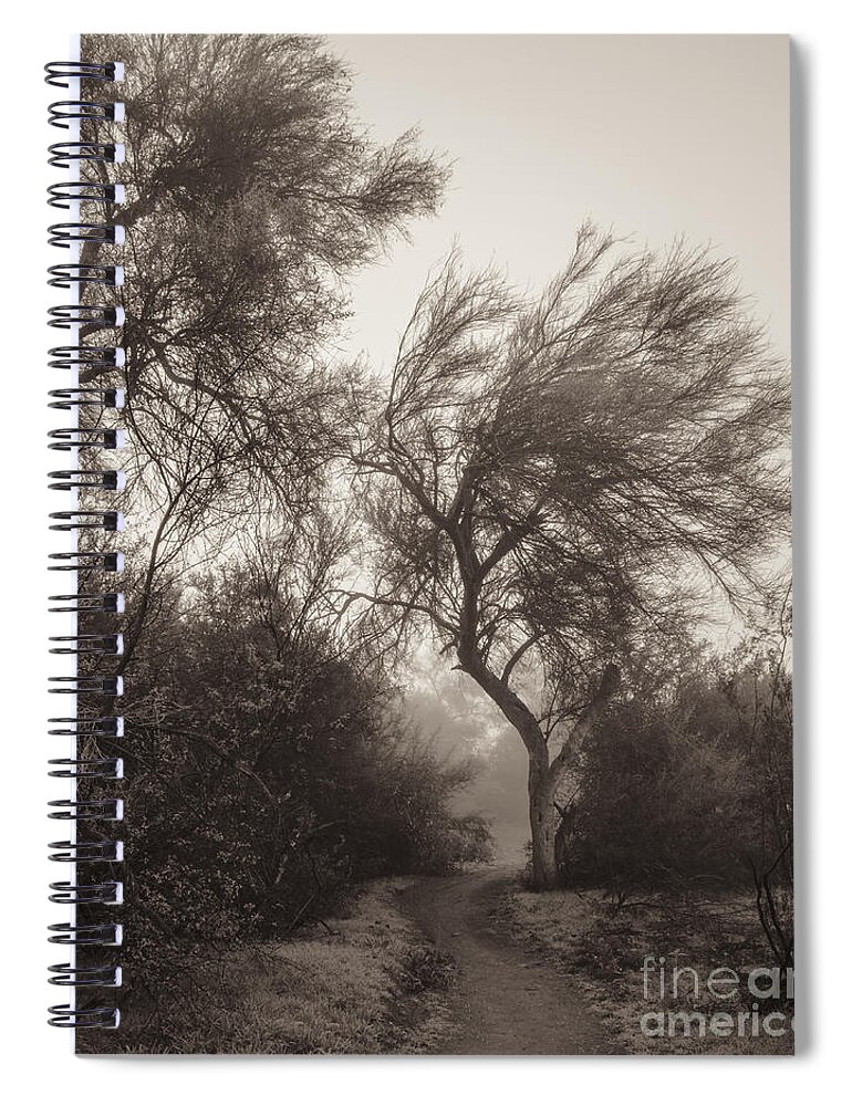 Fog Spiral Notebook featuring the photograph Misty Morning by Tamara Becker