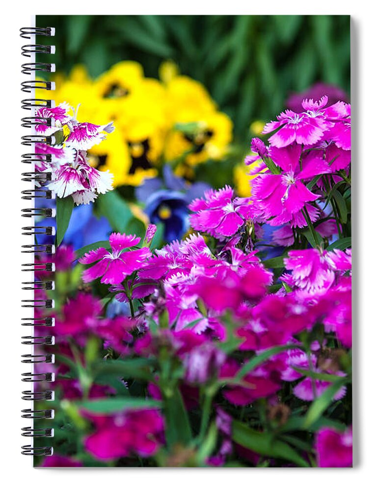 Courtyard Spiral Notebook featuring the photograph Mixed Blooms-1 by Charles Hite
